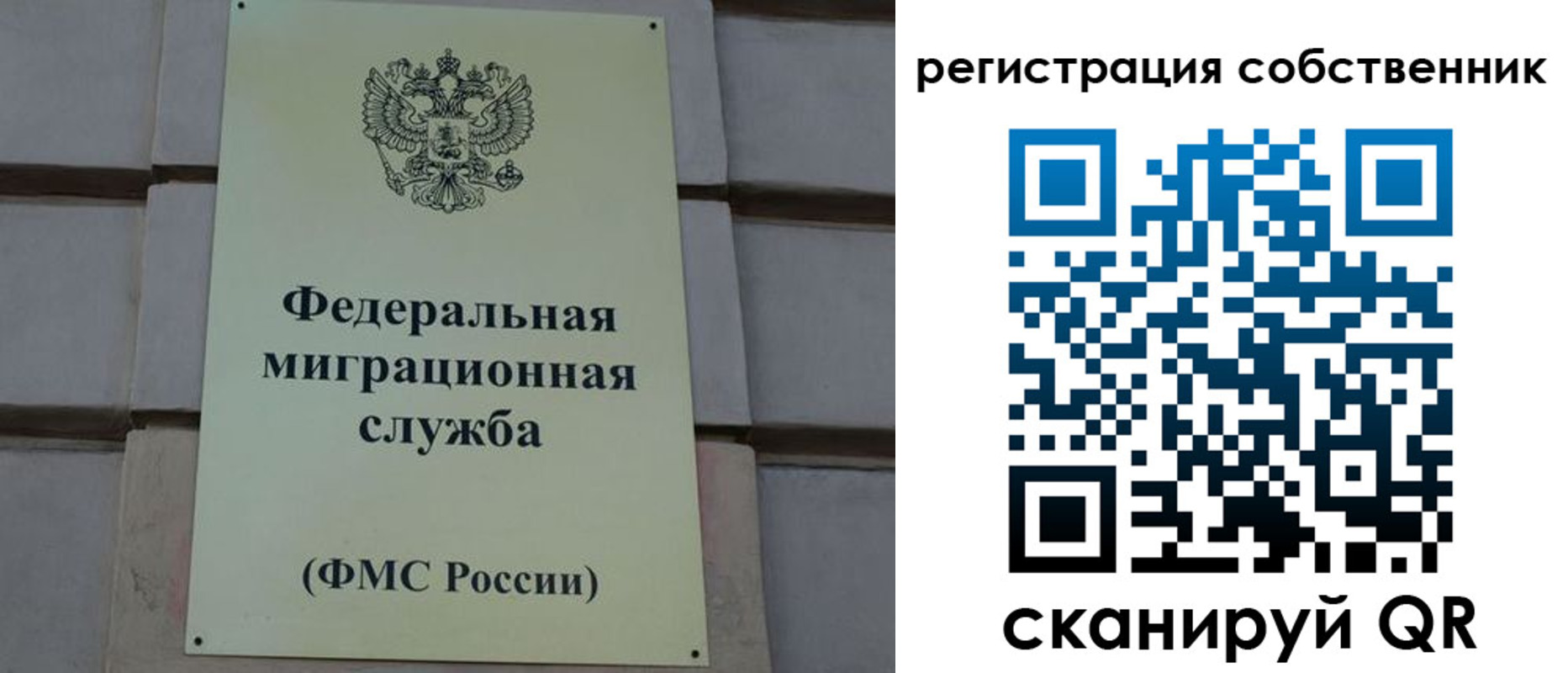 прописка гарантия в Курчатове